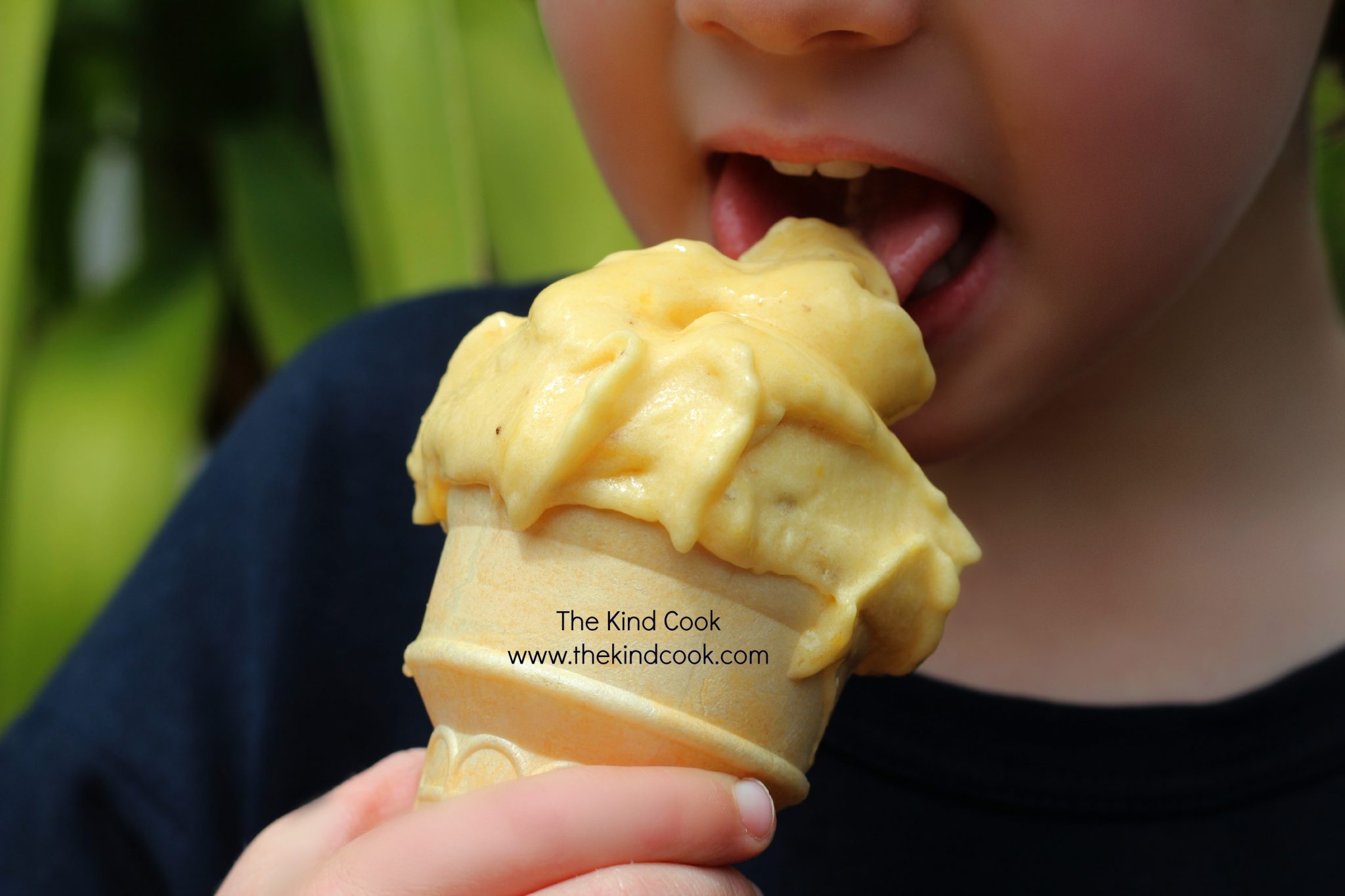 Mango Banana Soft Serve IceCream The Kind Cook